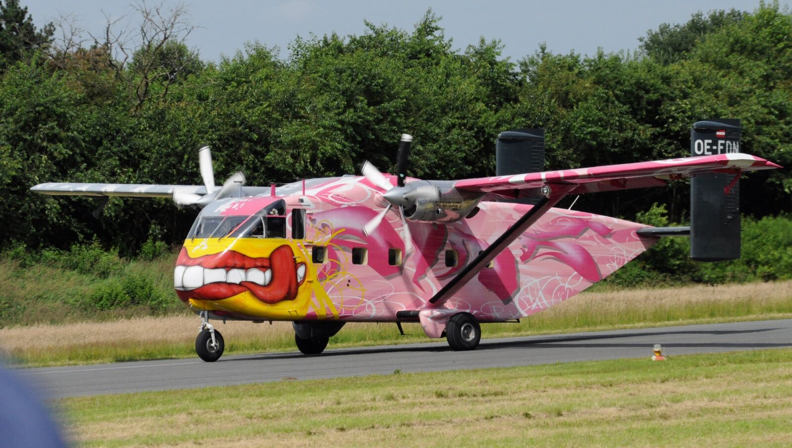 Nikon D5000 sample photo. Aircraft, skydiving, propeller photography