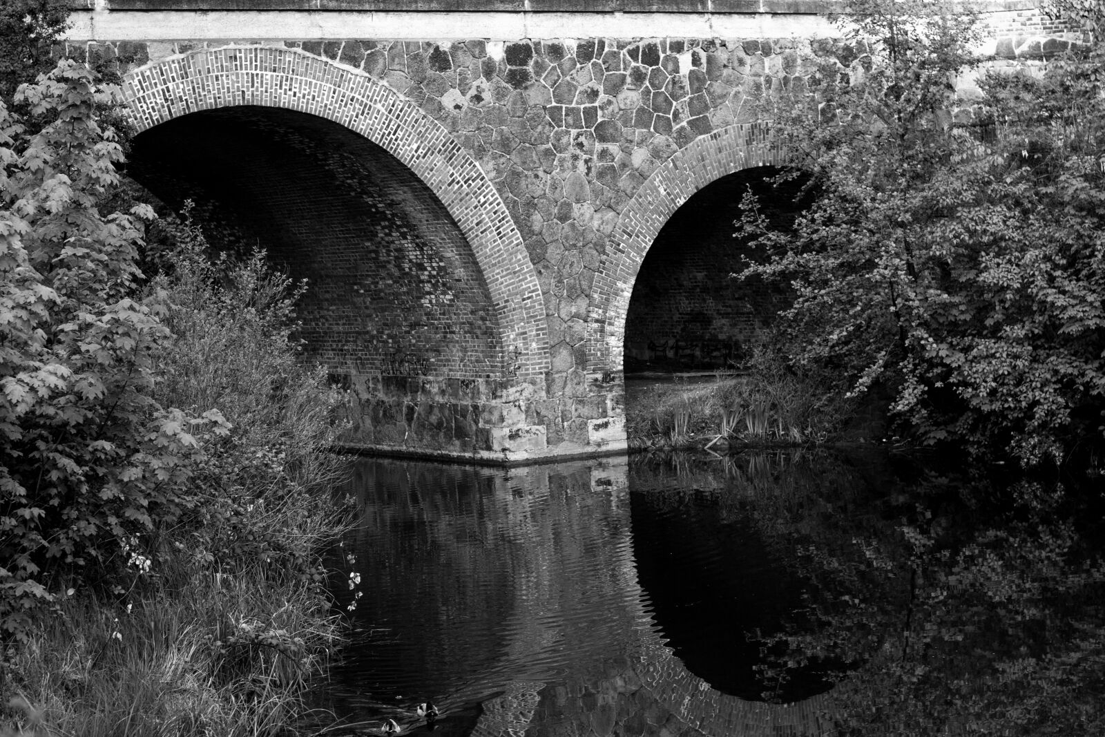 Canon EOS 60D + Canon EF 50mm F1.8 II sample photo. Bridge, black and white photography