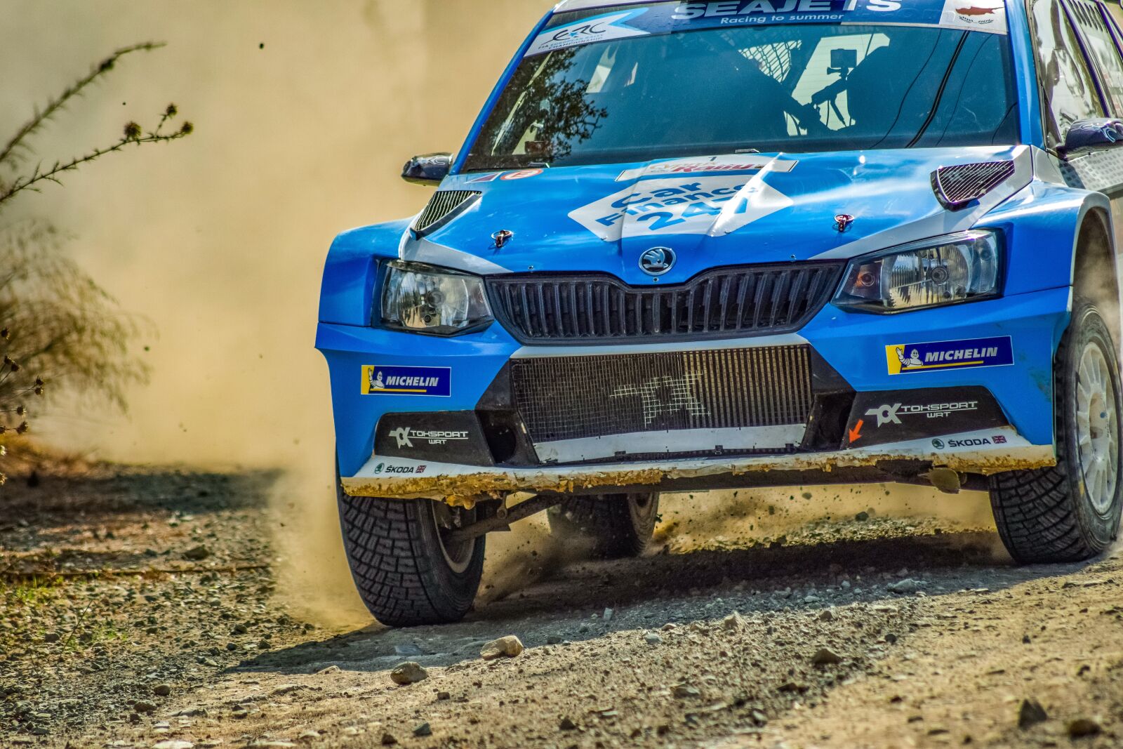 Nikon D3300 sample photo. Car, rally, auto photography