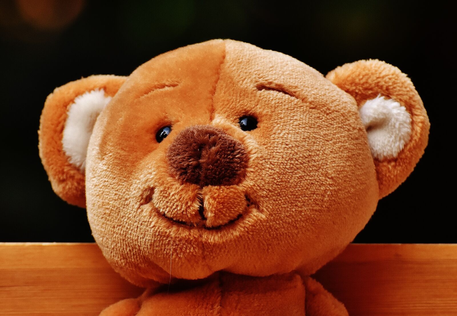 Nikon D7200 sample photo. Teddy, bank, sit photography