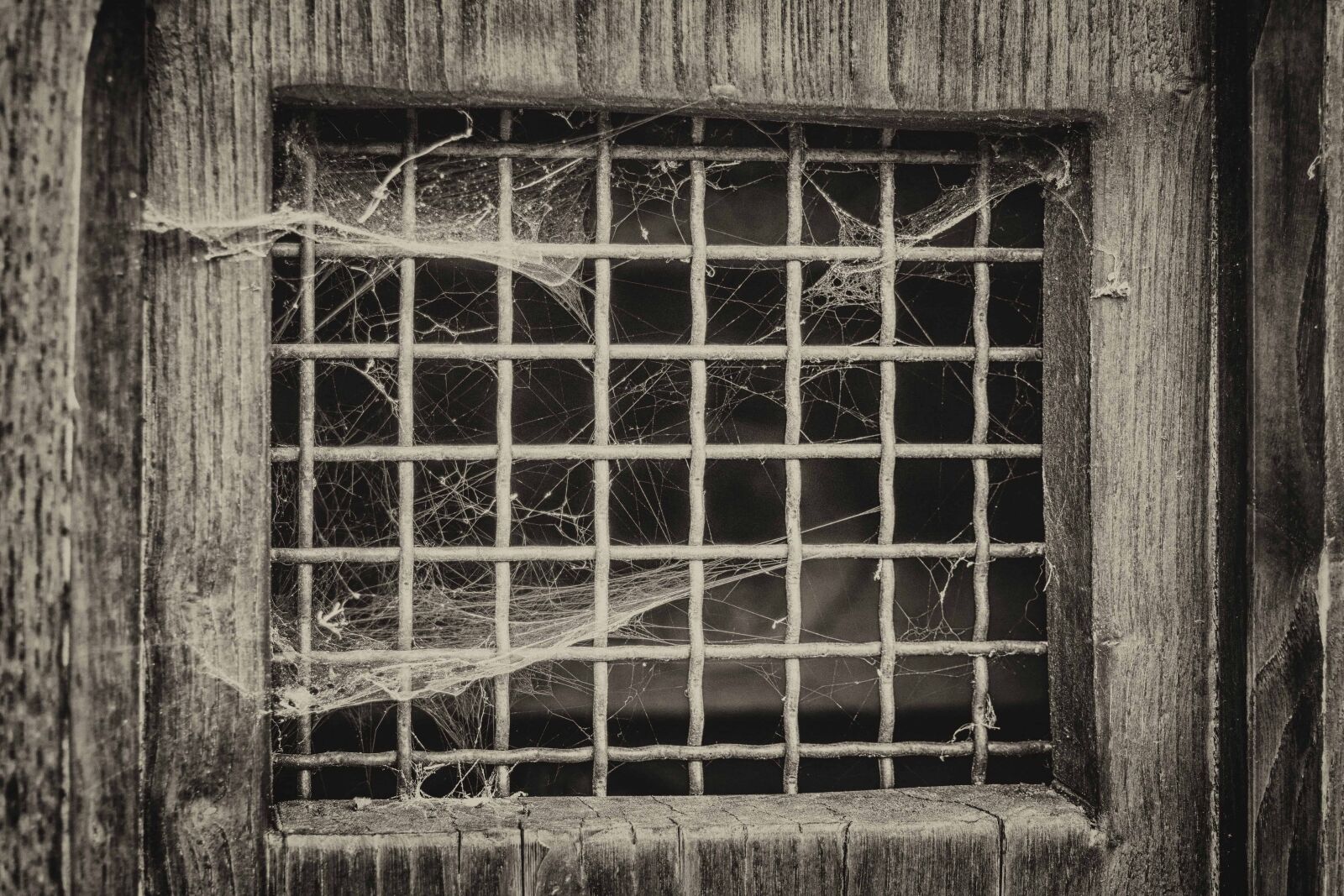 Nikon D3300 sample photo. Spiderweb, window, old, architecture photography