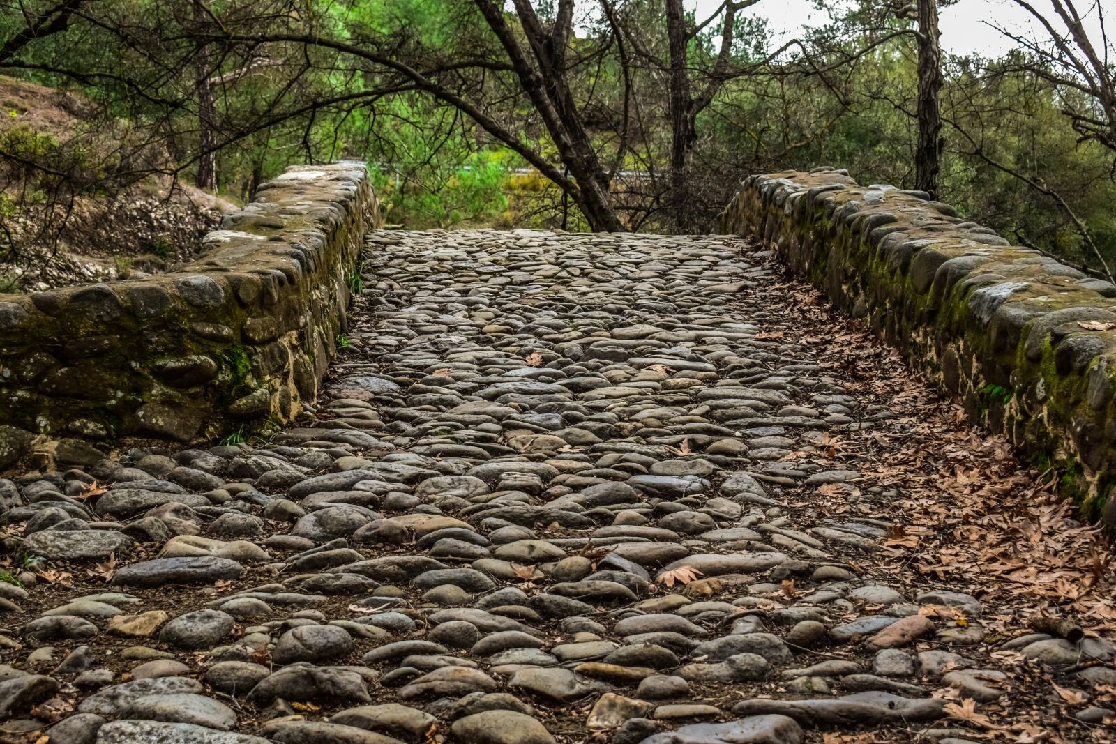 Nikon D3300 sample photo. Cobblestone, cobbled road, stone photography
