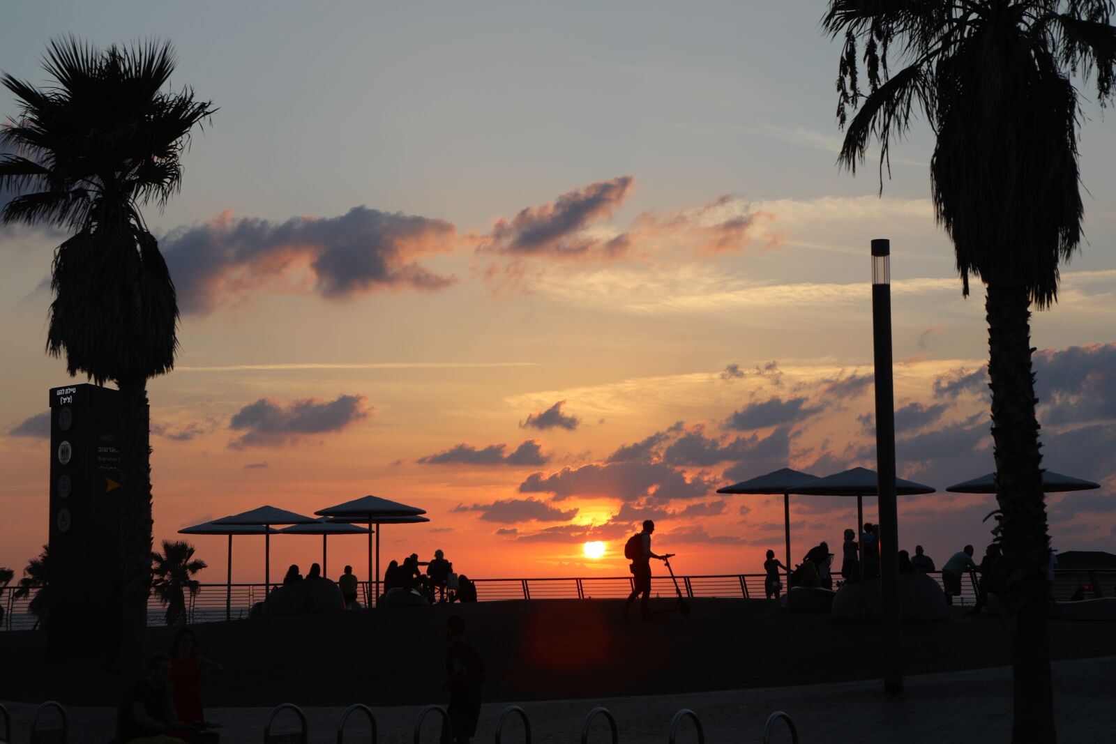 Canon EOS 5D Mark IV sample photo. Sunset, sun, palm photography