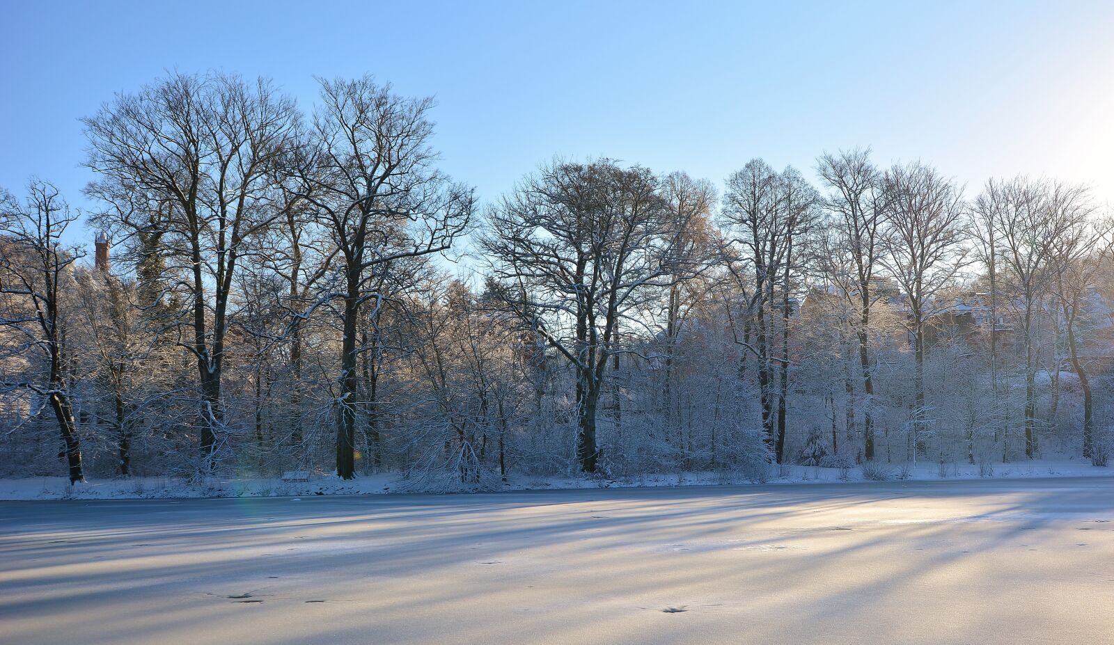 Nikon D5200 sample photo. Winter, park lake, frozen photography