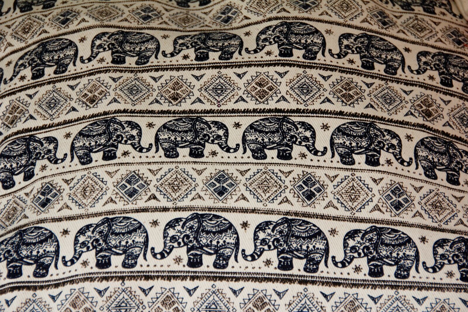 Canon EOS 60D sample photo. Elephant, cloth, blanket photography