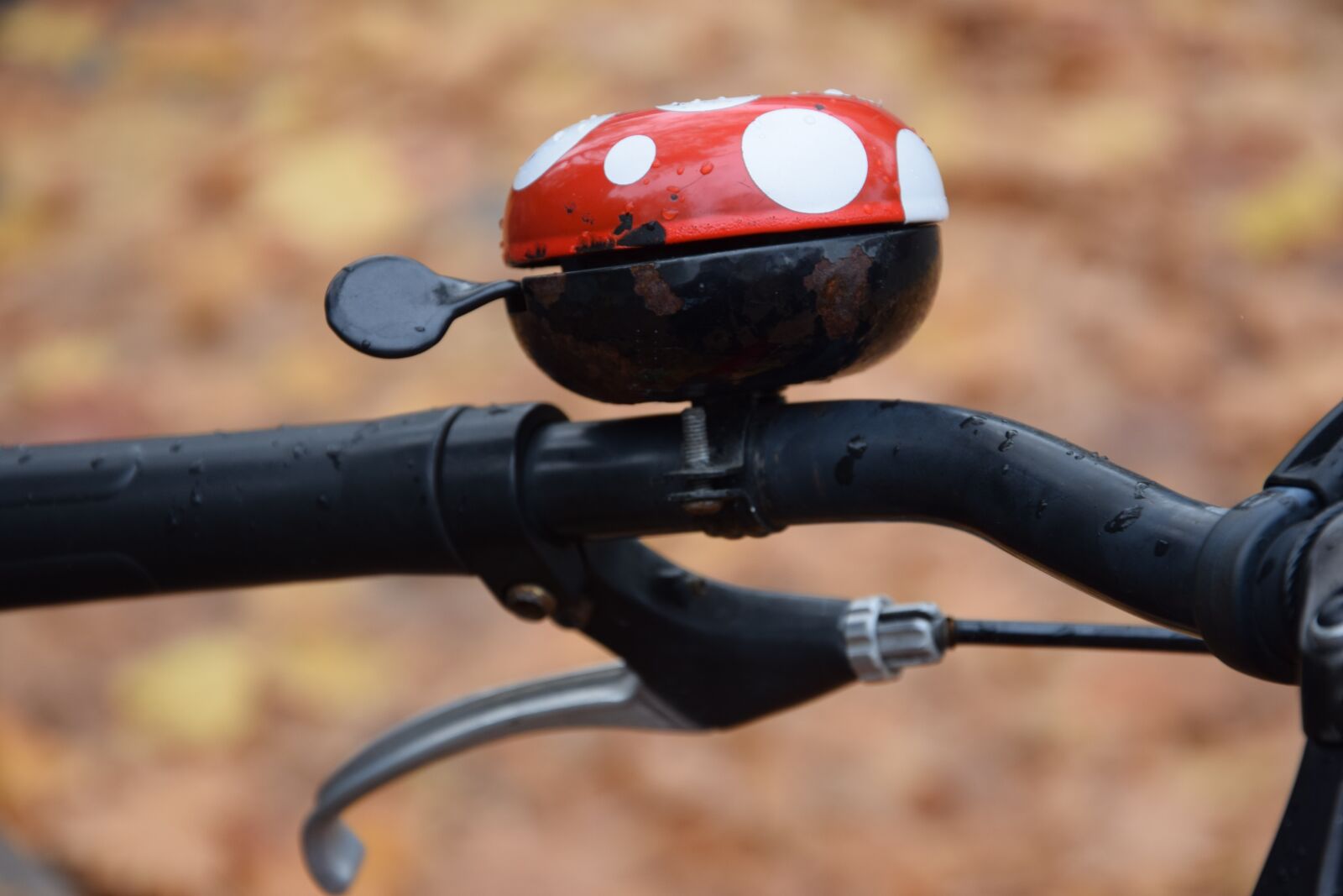 Nikon D3300 sample photo. Bike, bell, cycling photography