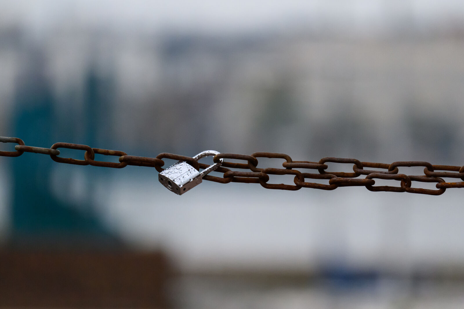 Nikon Z9 sample photo. Chain padlock photography