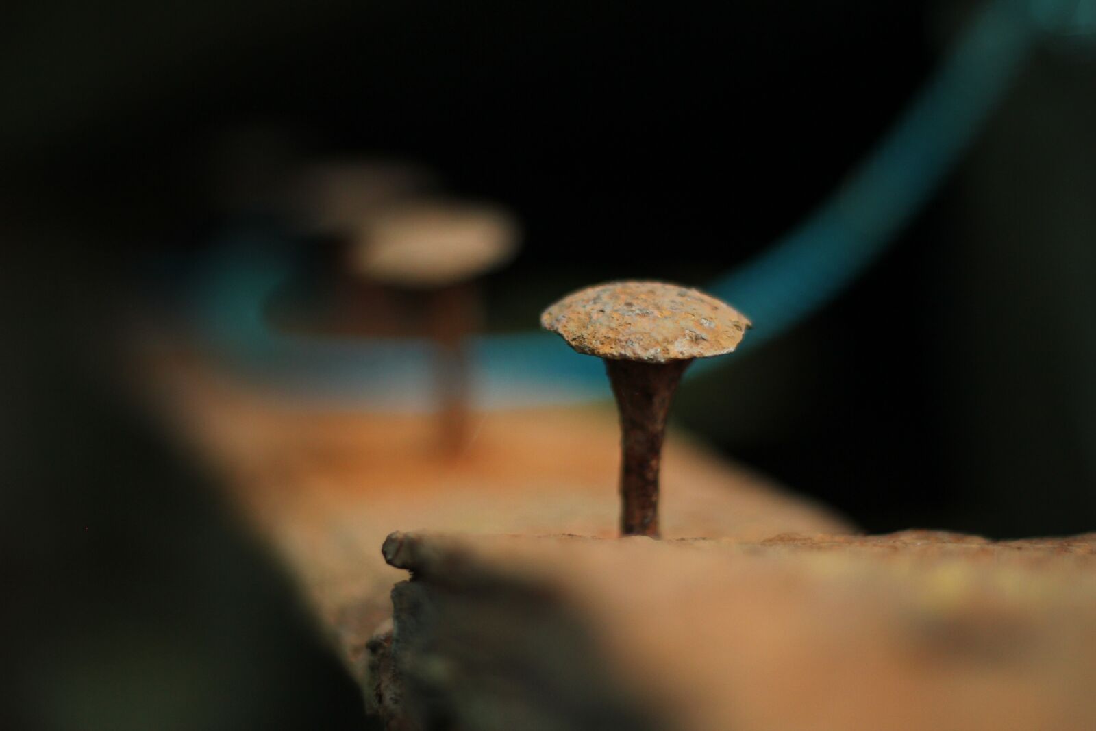 Canon EOS 550D (EOS Rebel T2i / EOS Kiss X4) sample photo. Nail, rusty, rusted photography