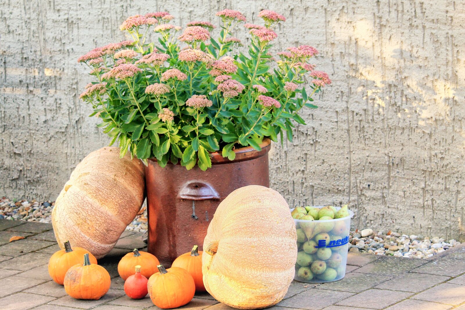 Canon EF-S 55-250mm F4-5.6 IS STM sample photo. Pumpkins, deco, autumn photography