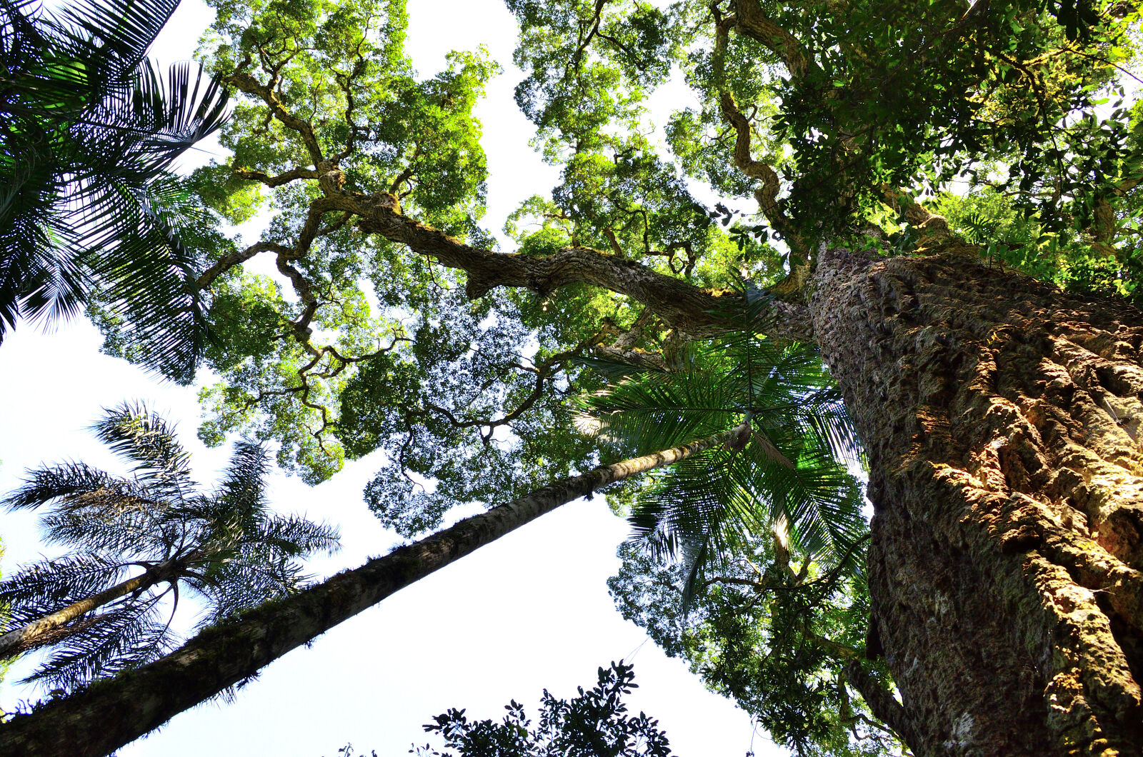 Nikon D5100 sample photo