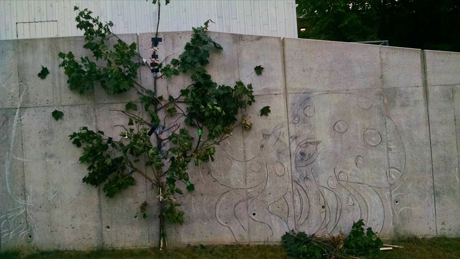Motorola Moto X (1st Gen) sample photo. Art, graffiti, octopus, tree photography