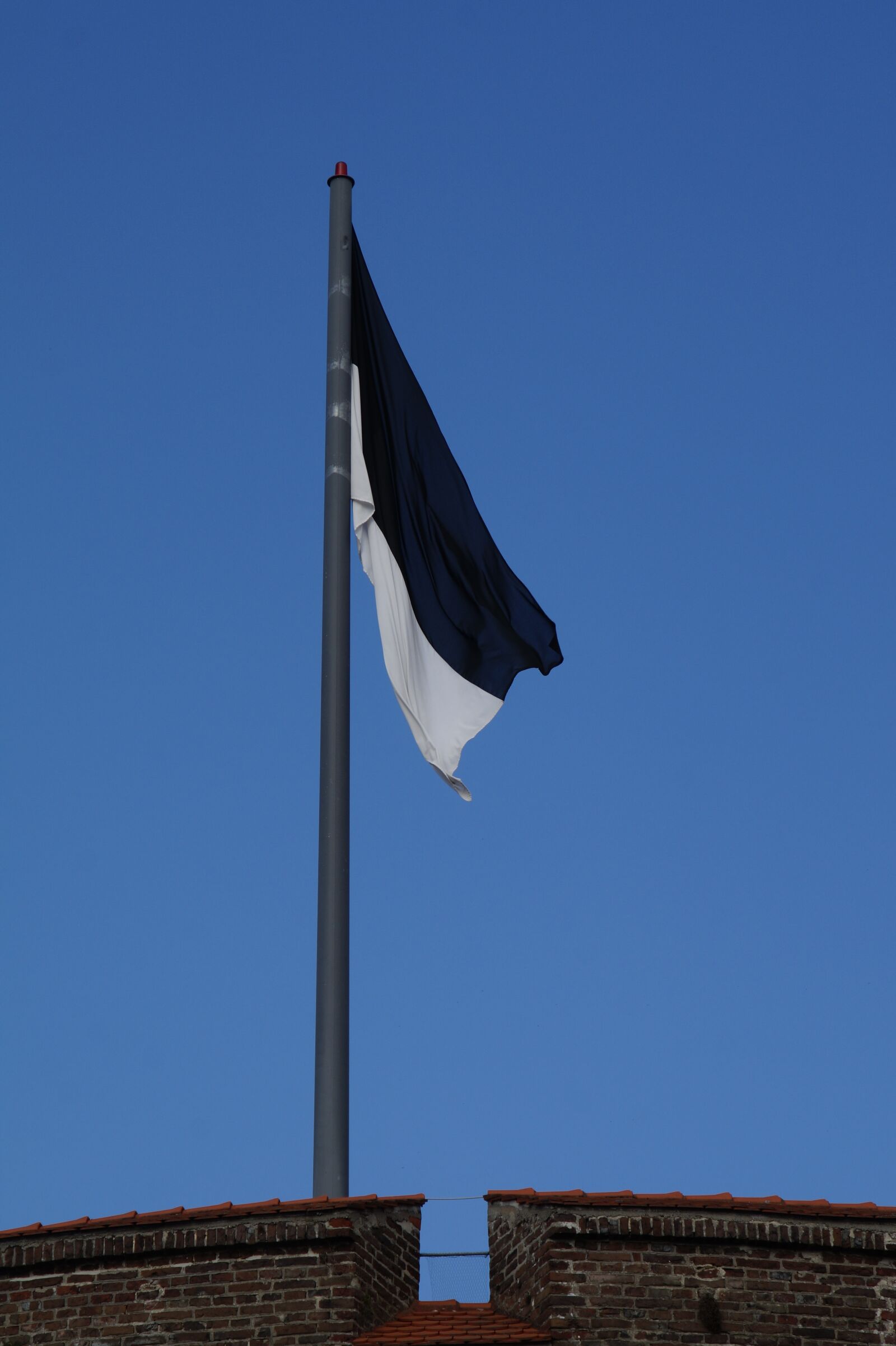 Sony SLT-A58 sample photo. Ulm, city flag, flag photography