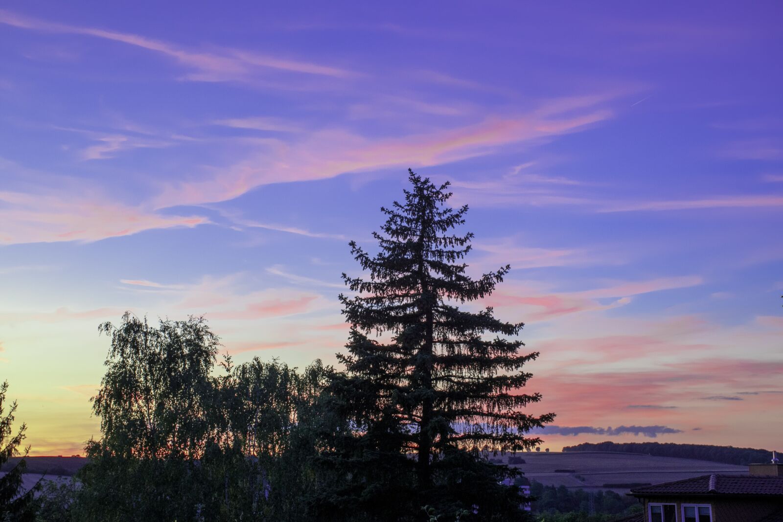 Nikon D7500 sample photo. Horizon, outdoor, nature photography