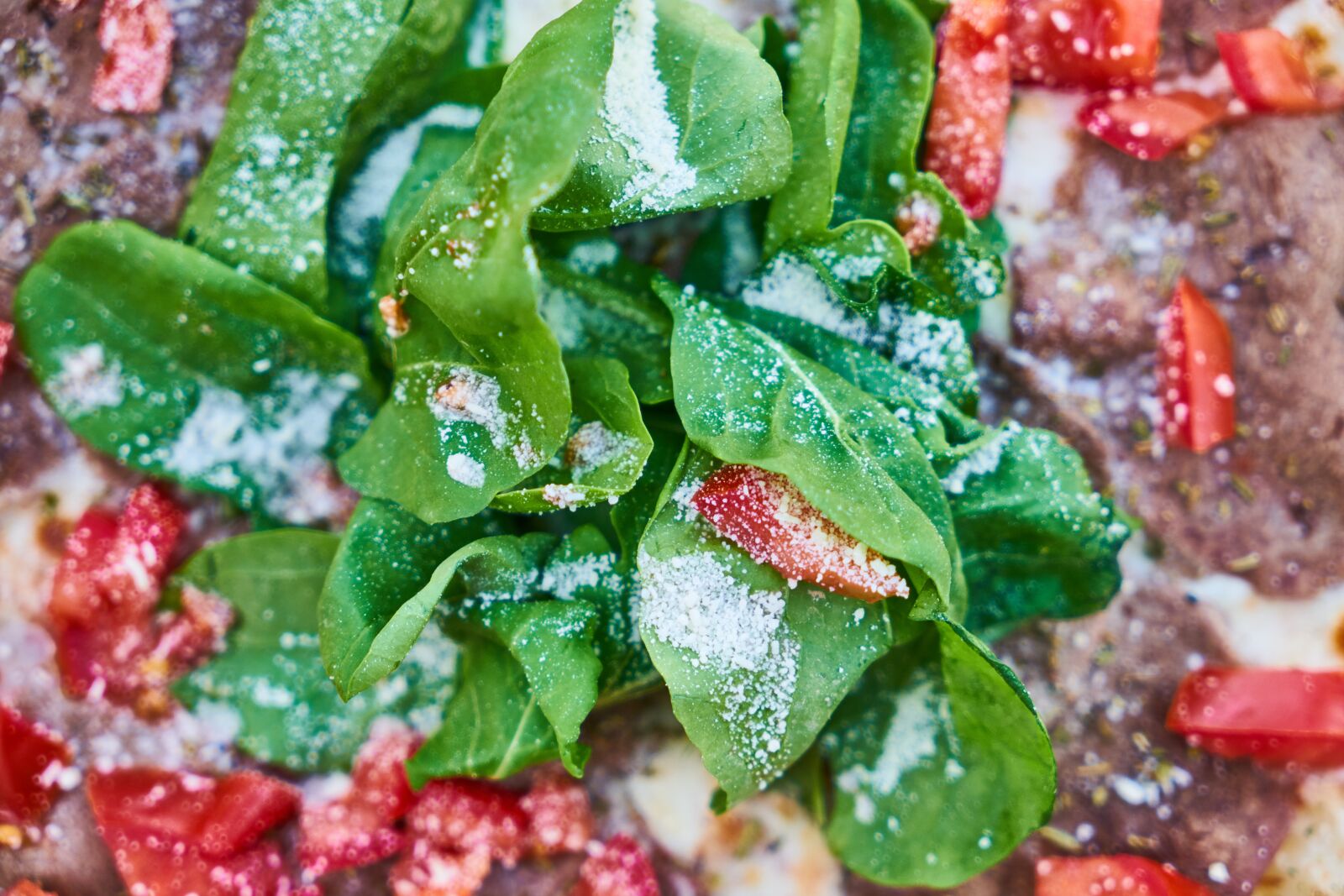 Sony a7R II sample photo. Pizza, dough, kitchen photography