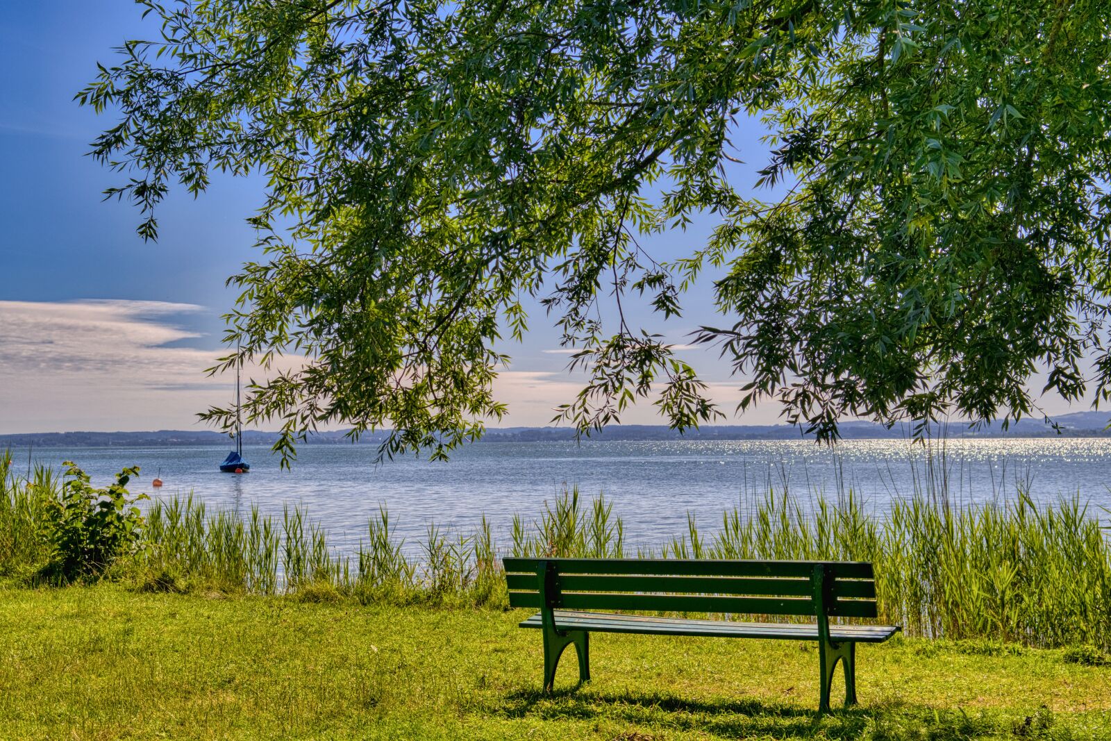 Nikon D7500 sample photo. Bank, bench, lake photography