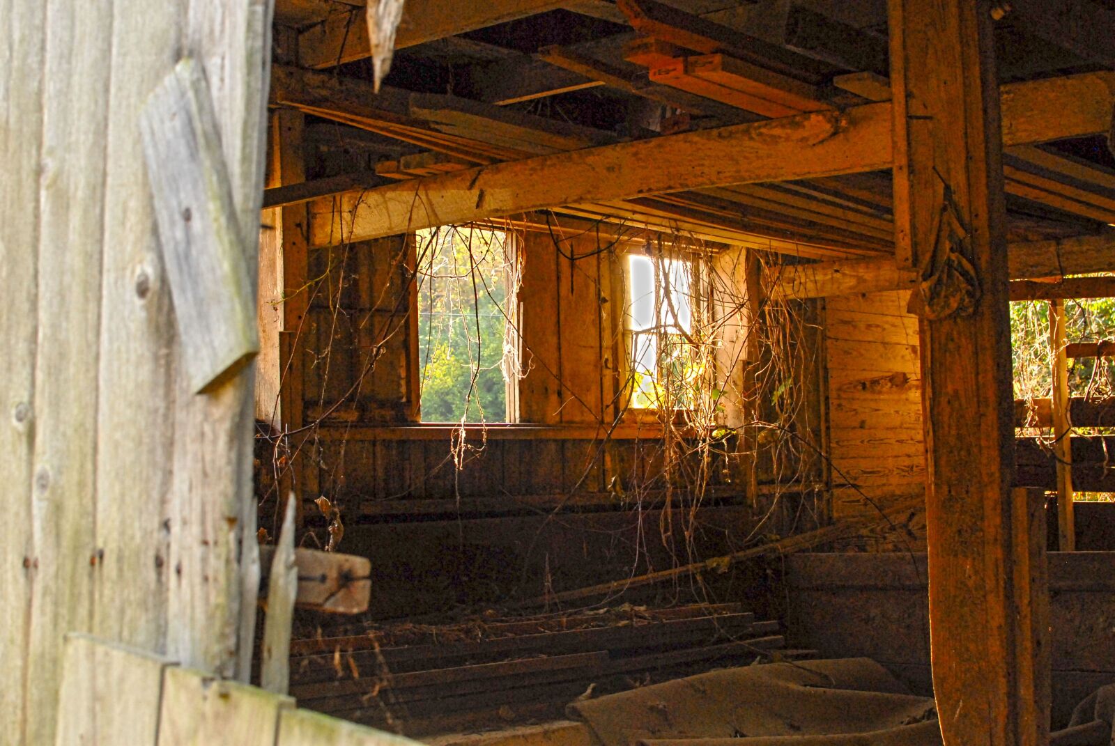Nikon D200 sample photo. Barn, weathered, abandoned photography