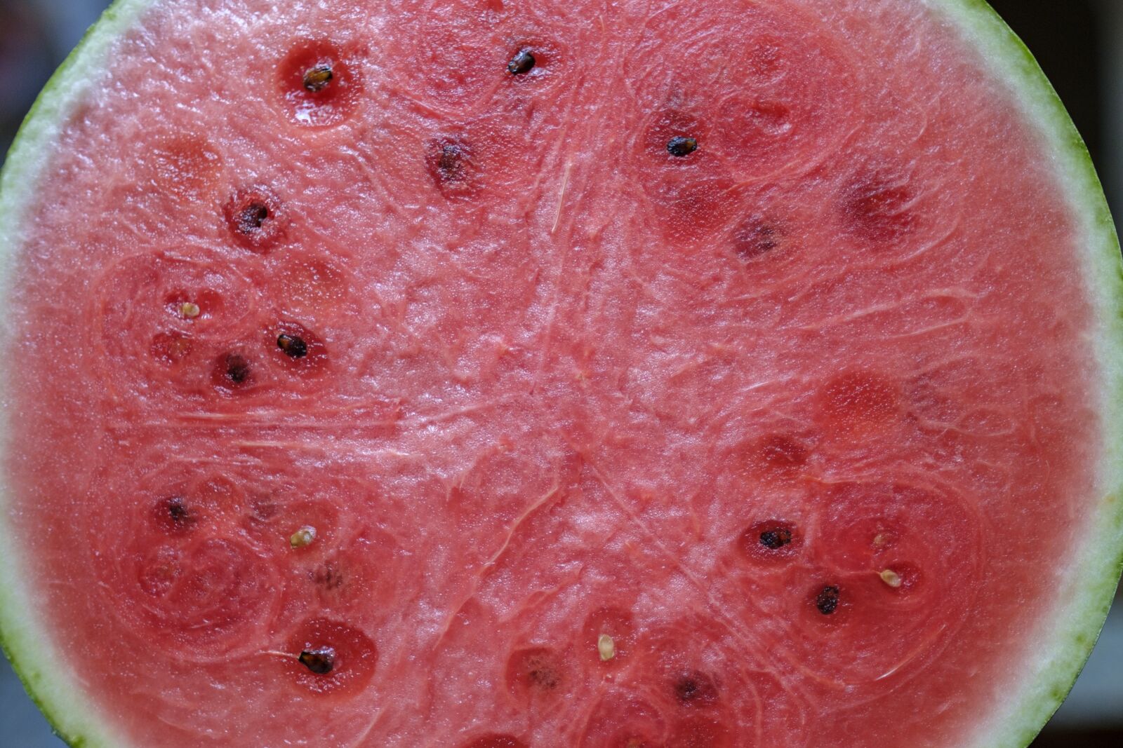 Fujifilm X-T2 + Fujifilm XF 16mm F1.4 R WR sample photo. Melon, watermelon, fruit photography