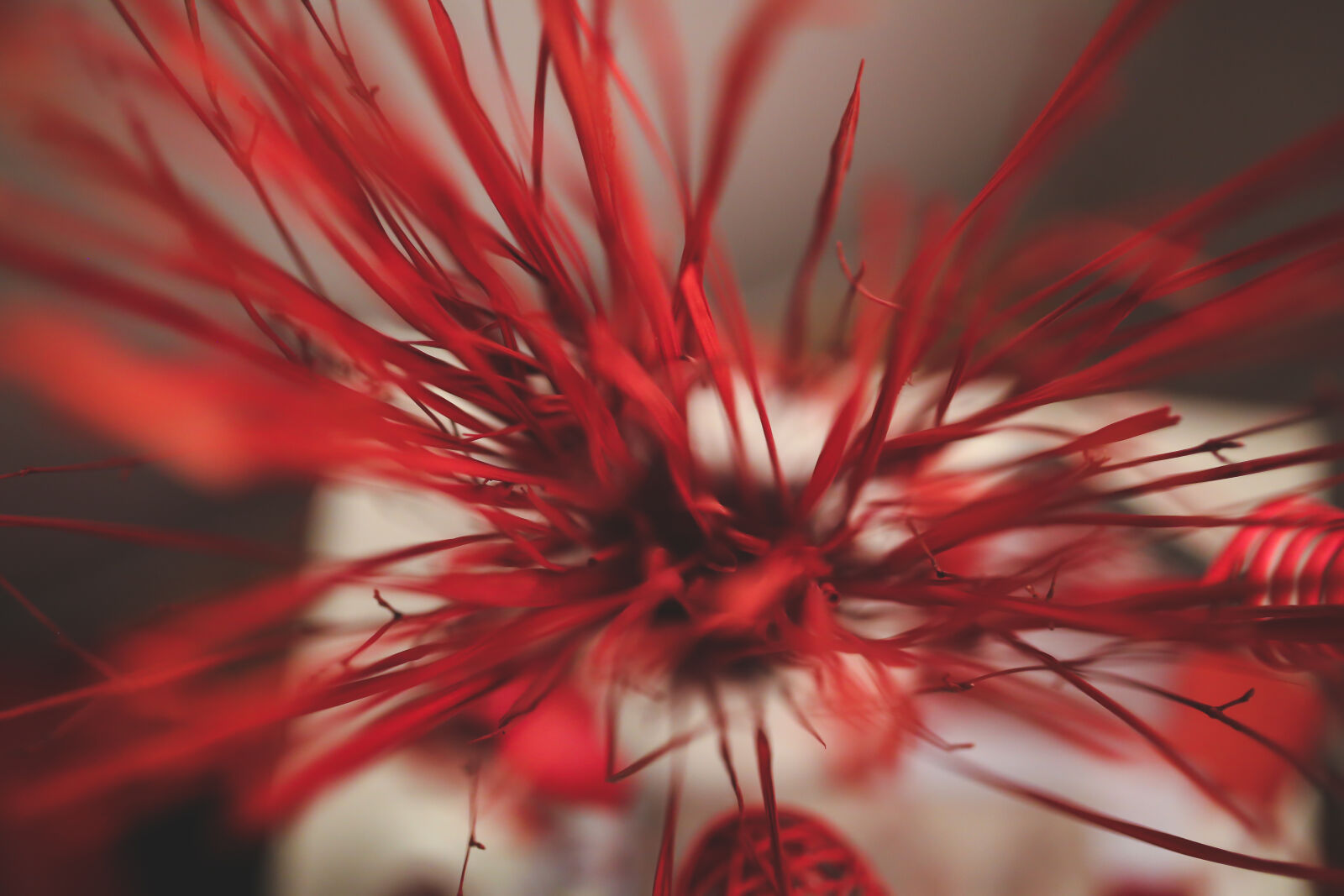 Canon EOS 6D + Sigma 35mm F1.4 DG HSM Art sample photo. Red, lines photography
