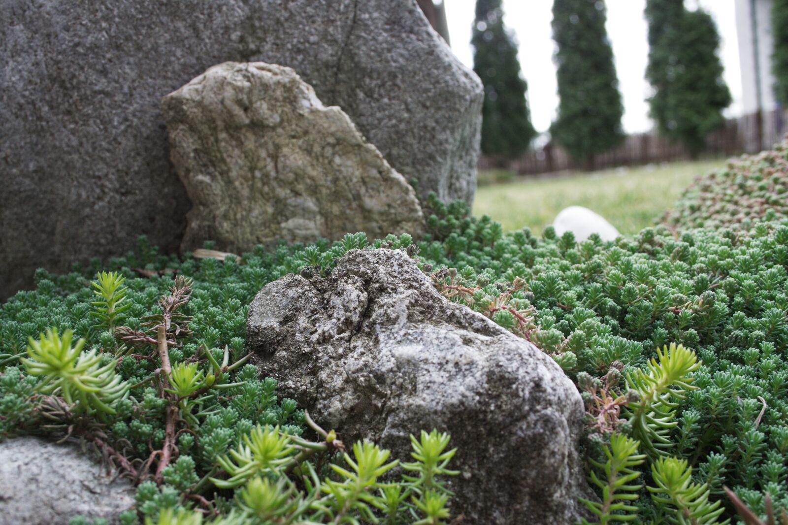 18.0 - 55.0 mm sample photo. Skalka, garden, stones photography