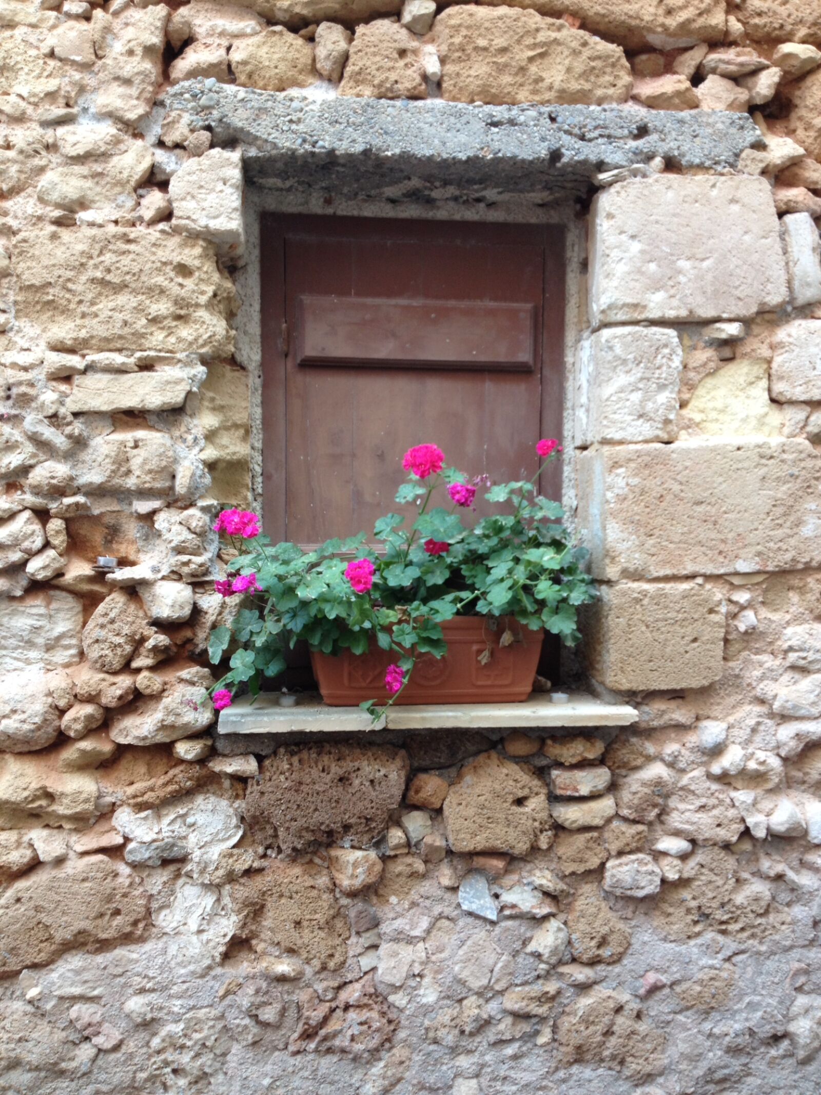 iPhone 4S back camera 4.28mm f/2.4 sample photo. Crete, flowers, greece photography