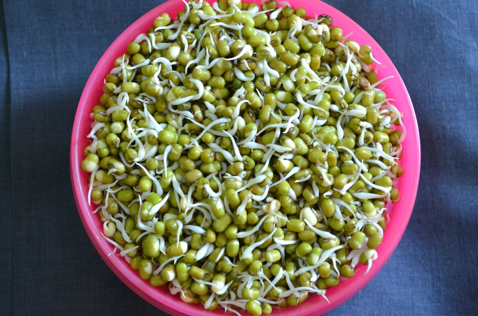 Nikon D5100 sample photo. Bowl, seed, pea bean photography