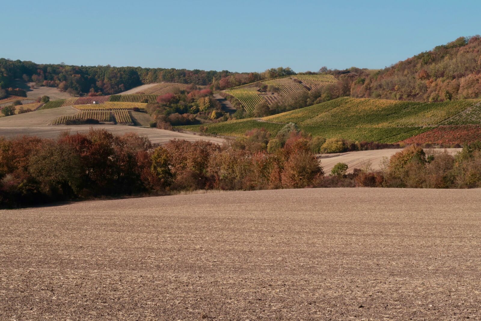 Canon PowerShot G7 X Mark II sample photo. Autumn, arable, field photography