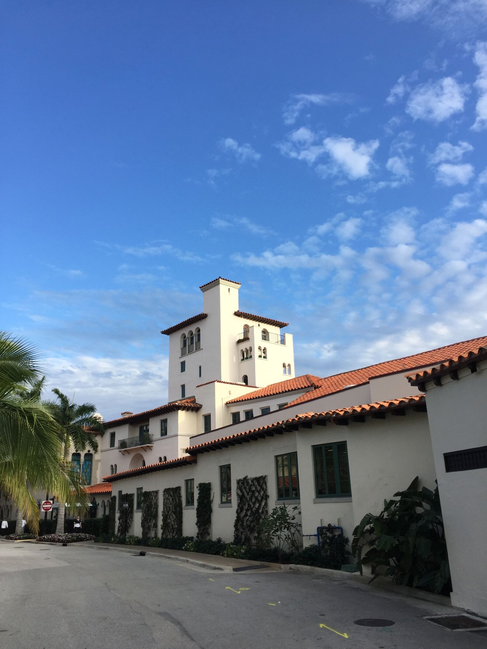 iPhone 6 back camera 4.15mm f/2.2 sample photo. Palm, beach, florida photography