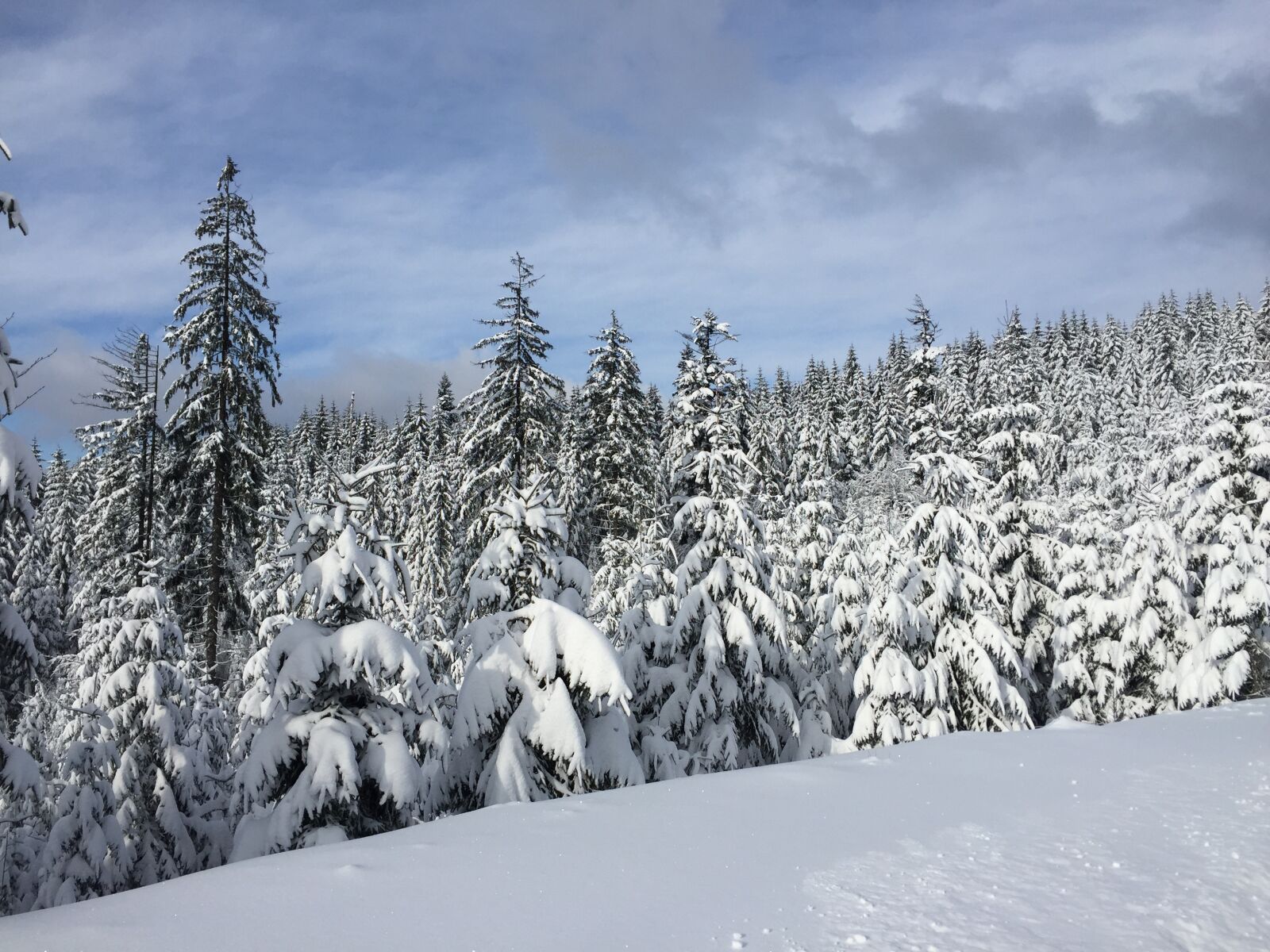 Apple iPhone 6 sample photo. Winter, snow, wisla photography