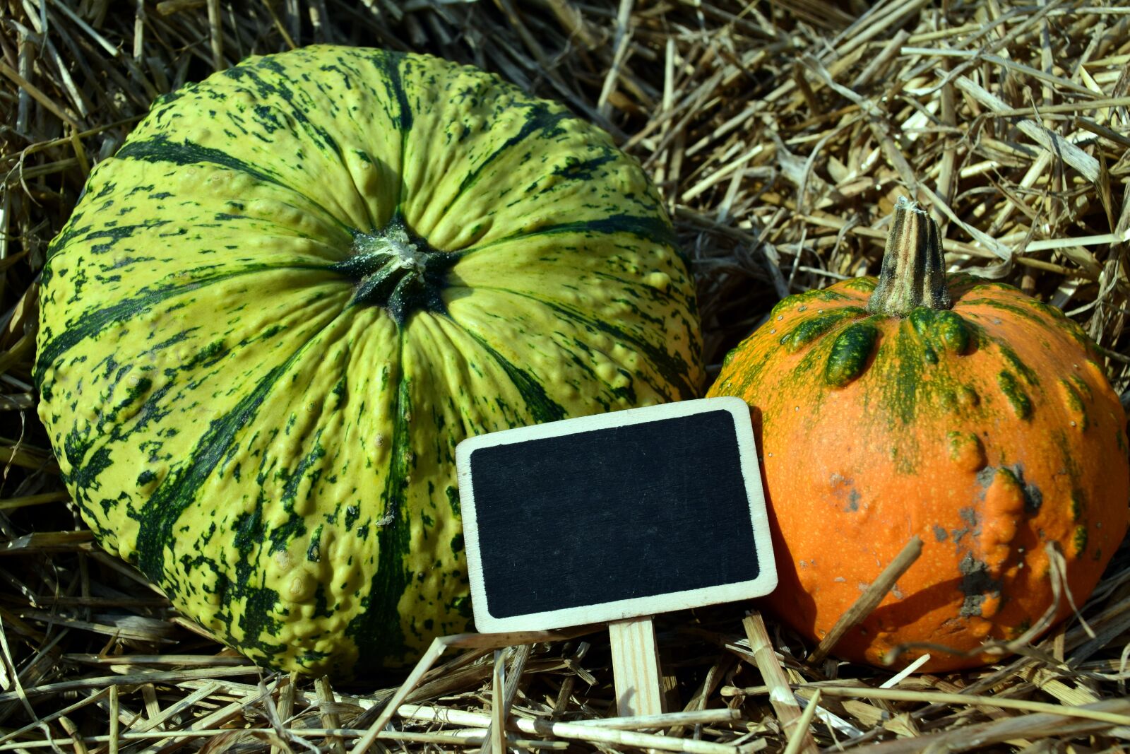 Nikon D3300 sample photo. Pumpkin, gourd, autumn photography