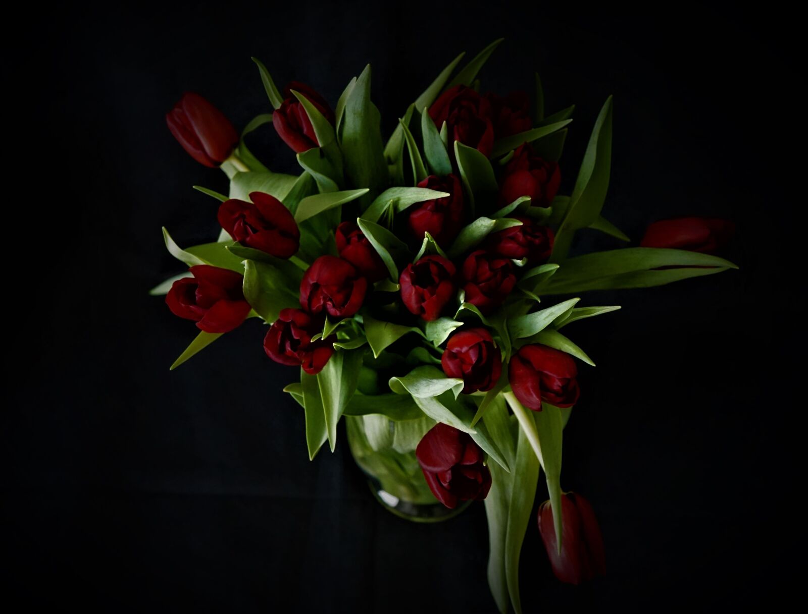 Sony a6000 + Sony E 30mm F3.5 Macro sample photo. Tulip bouquet, flower vase photography
