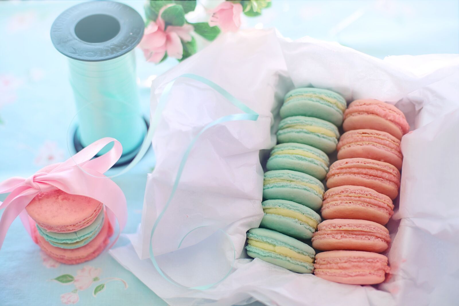 Canon EF 50mm F1.4 USM sample photo. Macarons, pink, aqua photography