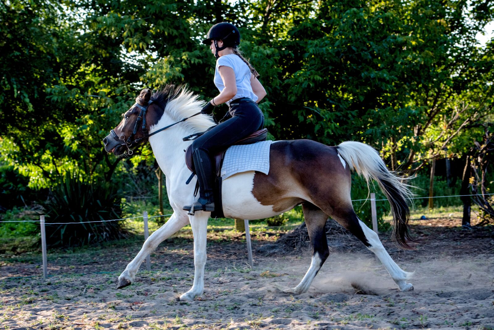 Nikon D850 sample photo. Horse, rider, animal photography