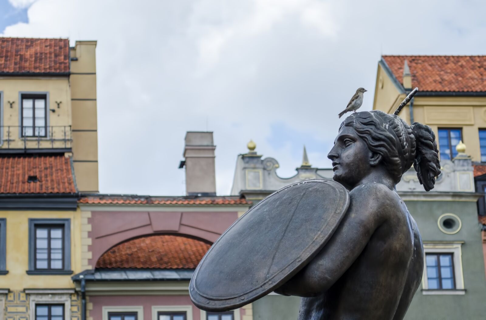 Nikon D5100 sample photo. Warsaw, mermaid, monument photography