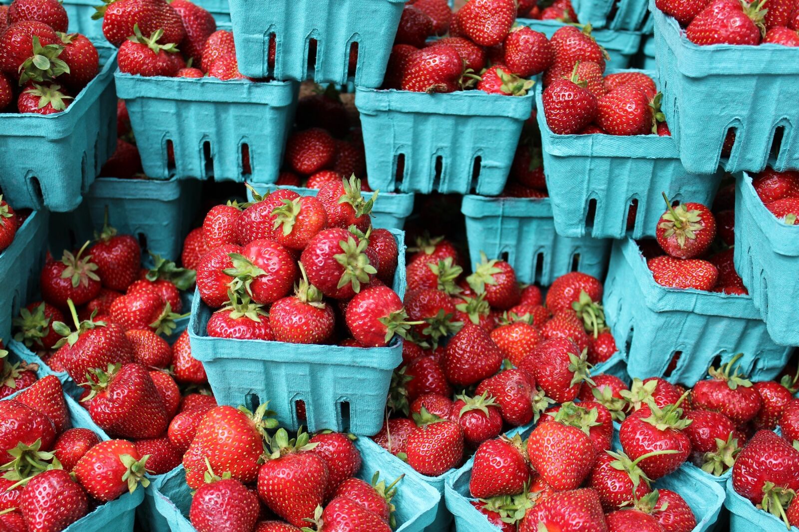 Canon EOS 600D (Rebel EOS T3i / EOS Kiss X5) sample photo. Strawberries, berries, fresh photography