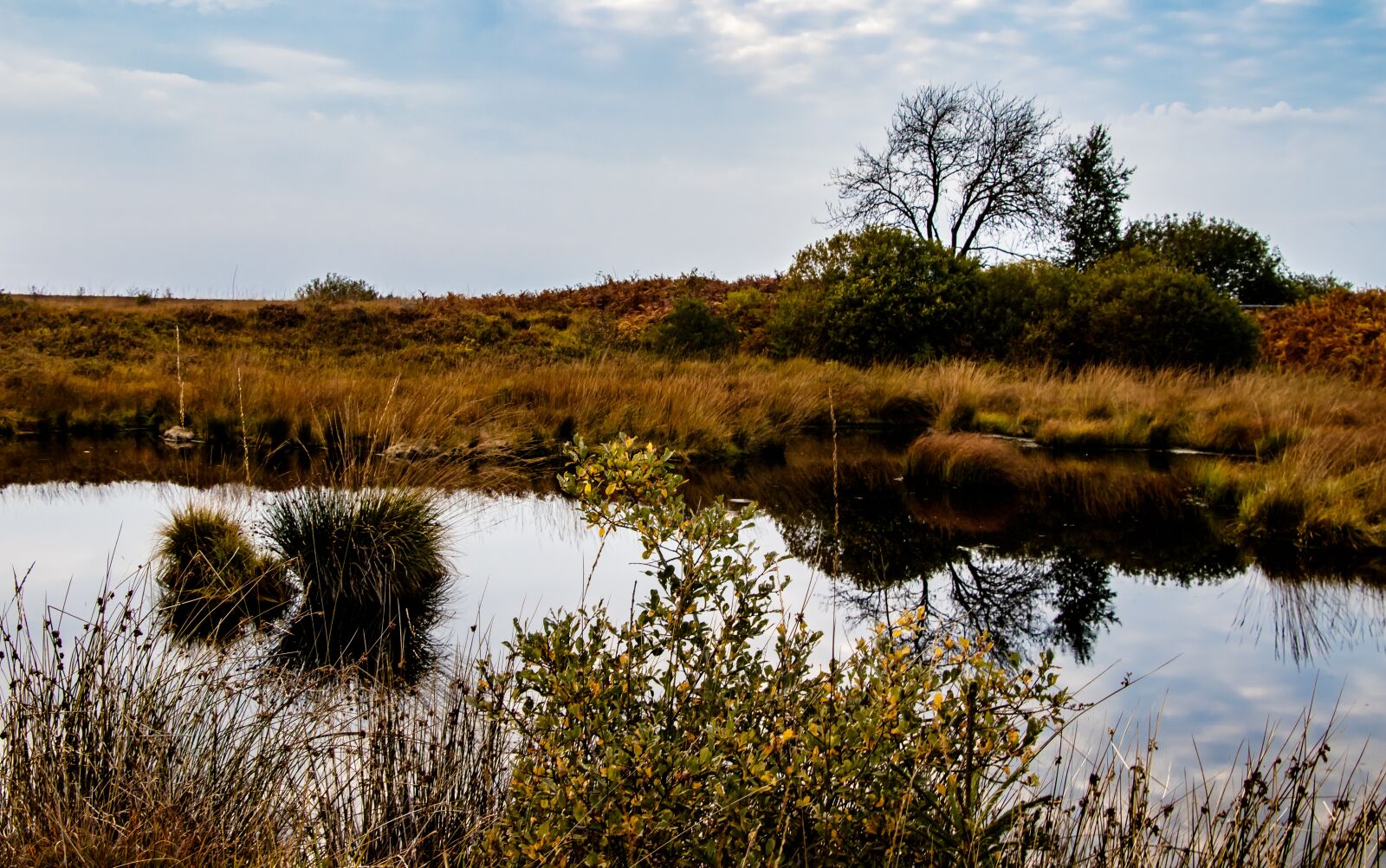 Canon EOS 80D sample photo. Moor, landscape, nature photography