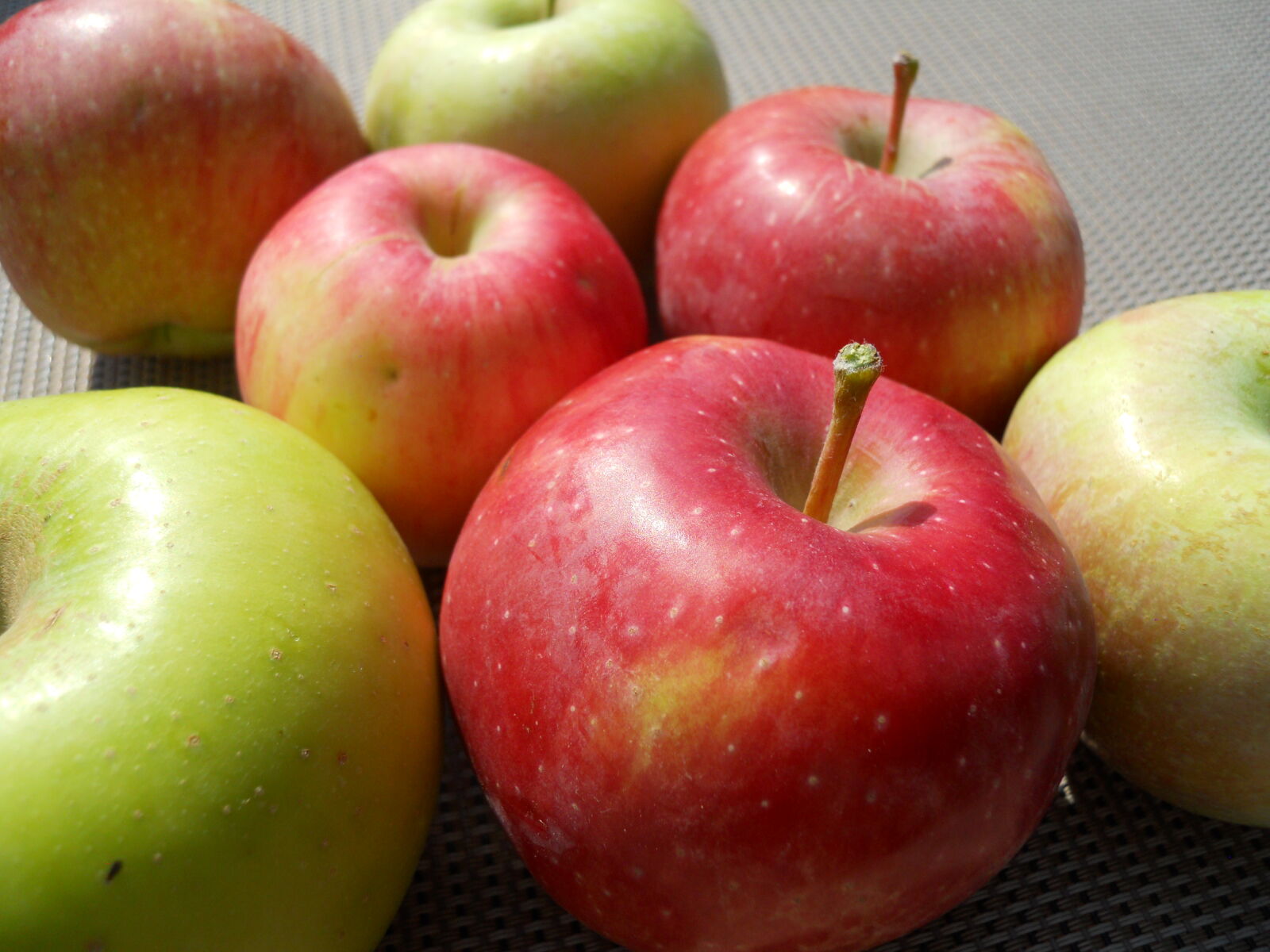 Nikon Coolpix S570 sample photo. Apples, fall, apples photography