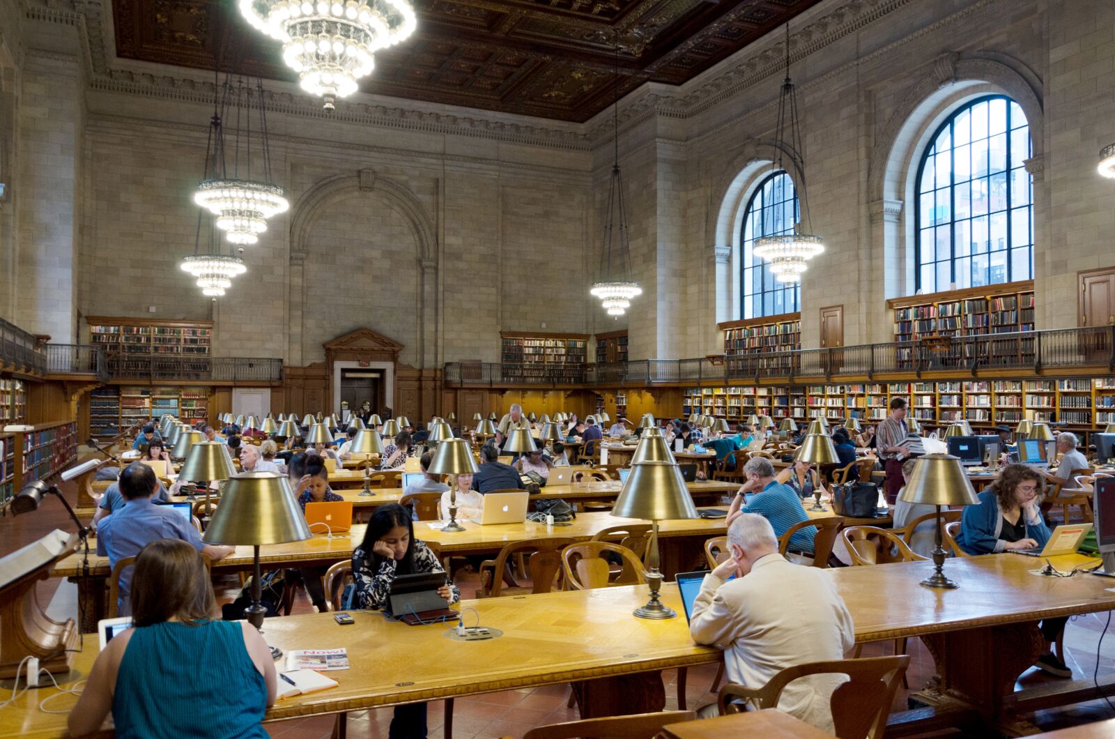 Nikon D5100 sample photo. Within, library, education photography