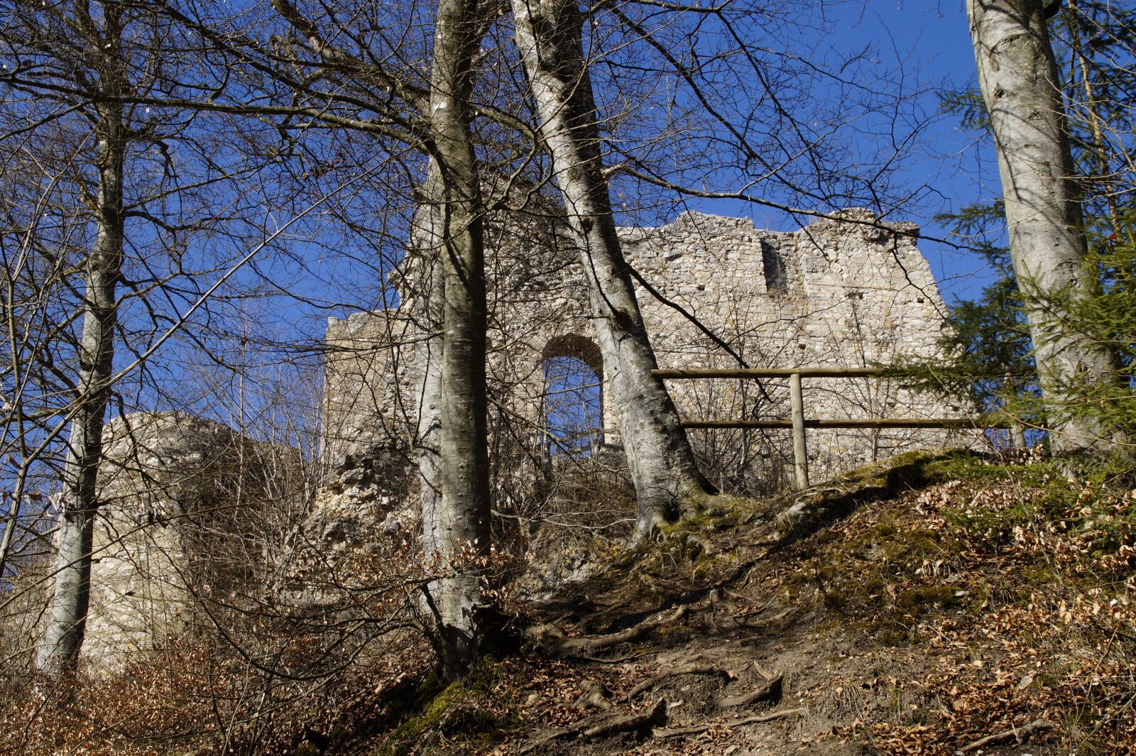 Sony SLT-A58 sample photo. Rusenschloss, ruin, gerhausen photography