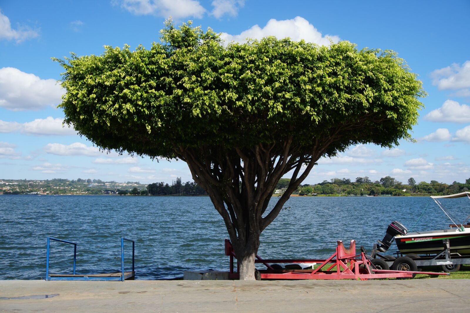 Sony a6500 sample photo. Tree, nature, lake photography