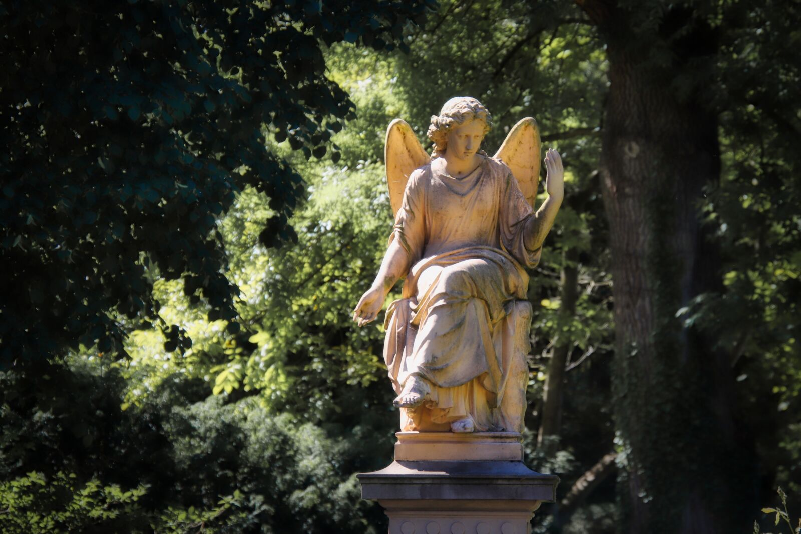 Canon EOS 77D (EOS 9000D / EOS 770D) sample photo. Angel, statue, mourning photography