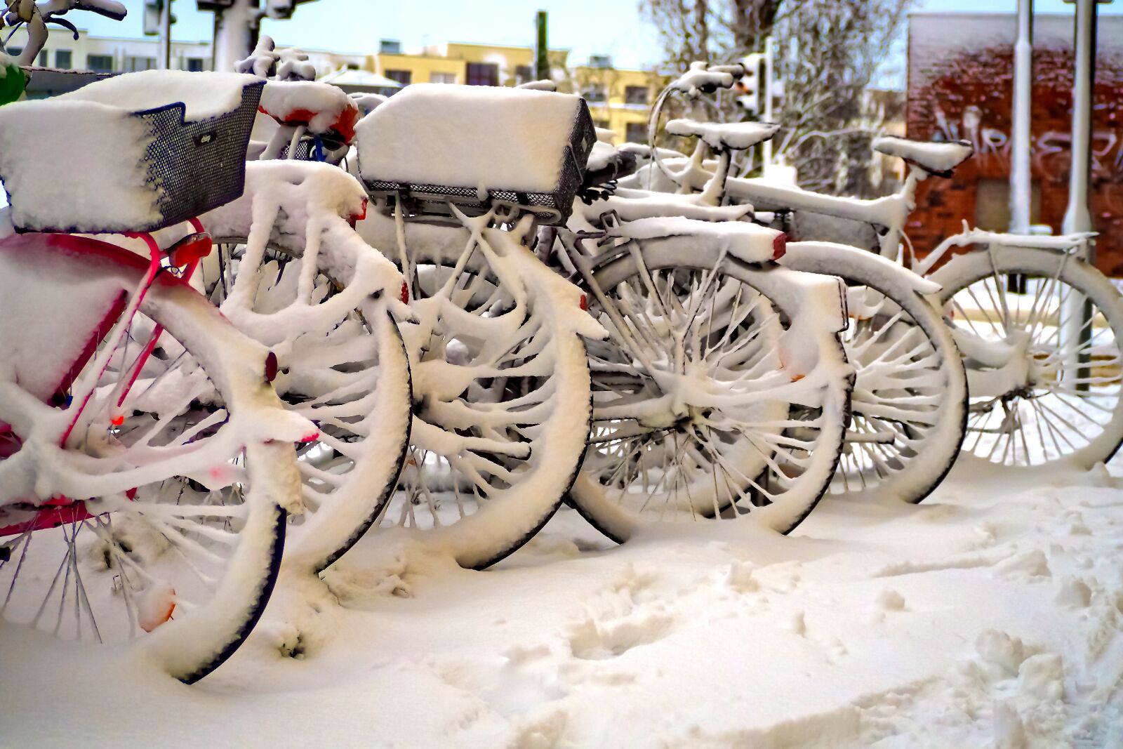 Olympus OM-D E-M10 sample photo. Snow, winter, wintry photography