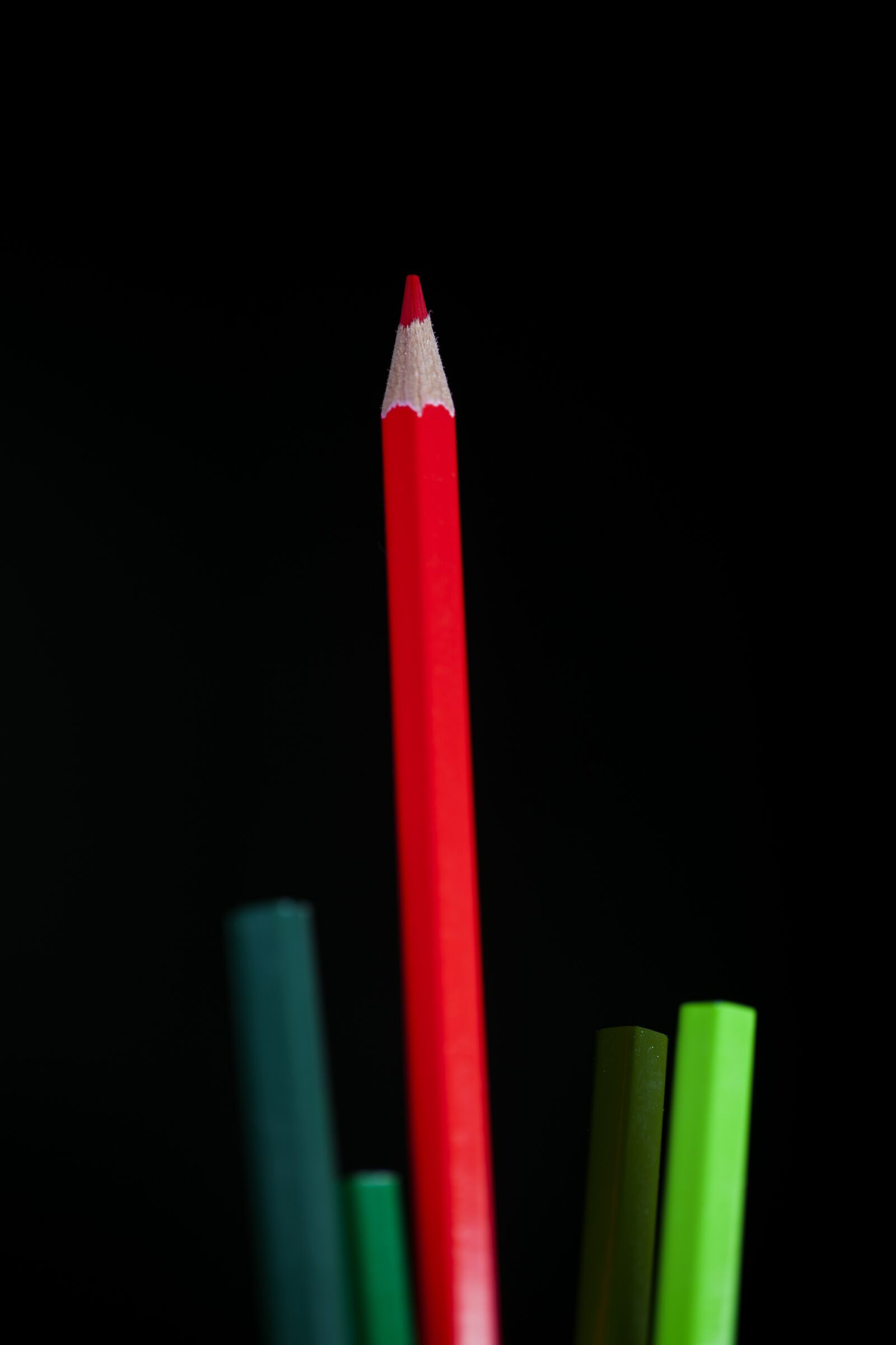 Canon EF 100mm F2.8L Macro IS USM sample photo. Red, pen, color photography