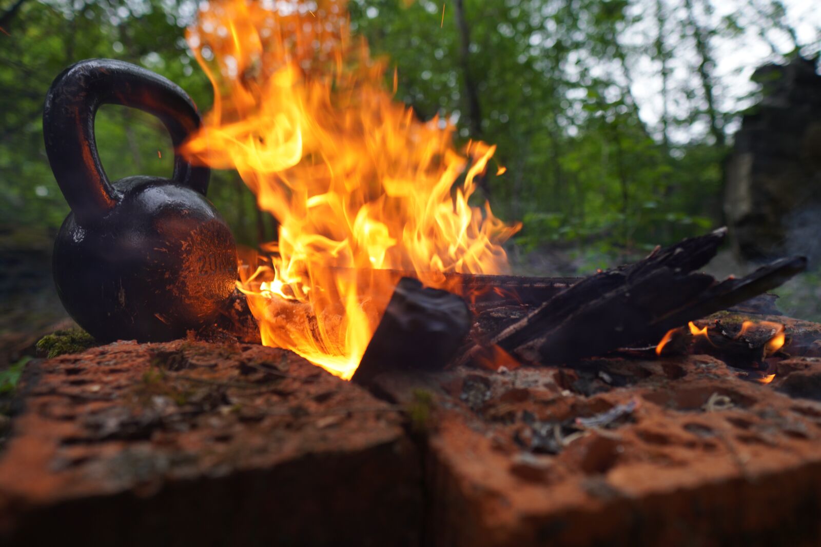 Sony a6400 + Sigma 16mm F1.4 DC DN | C sample photo. Carnivore, kettlebell, trening photography