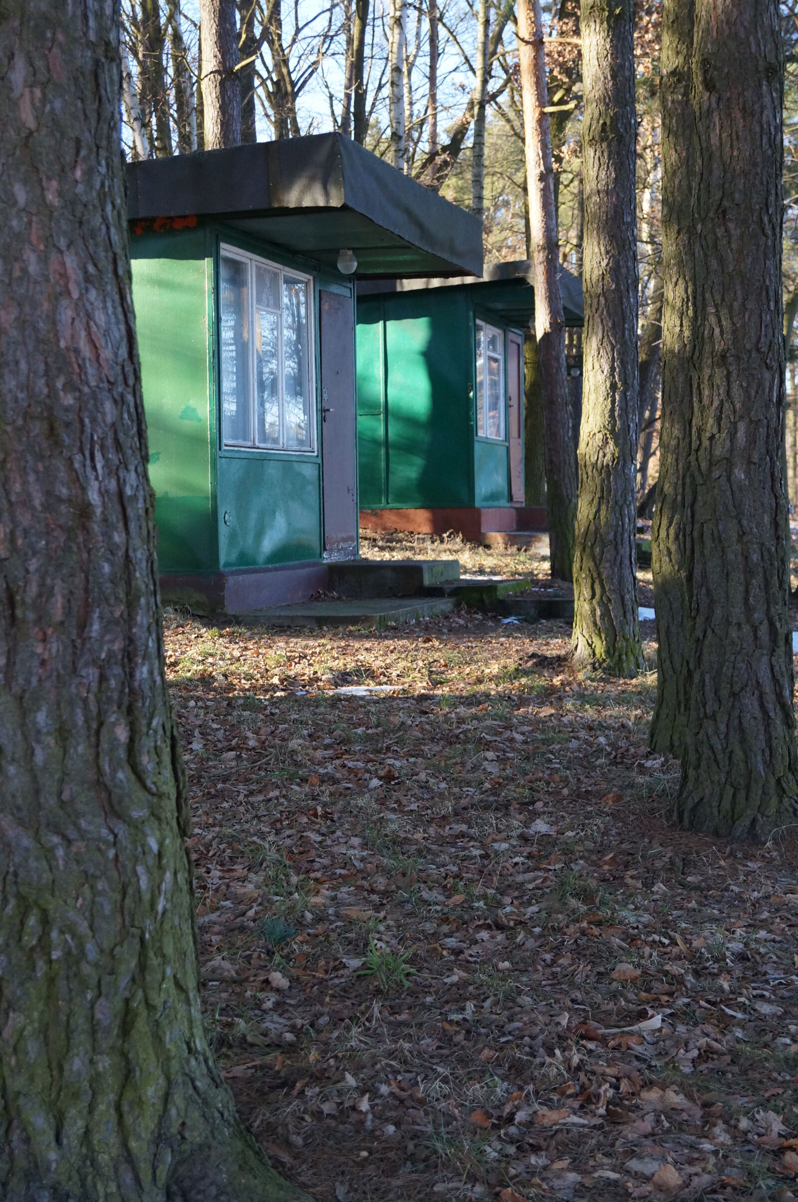 Sony SLT-A37 sample photo. Logde, trees photography