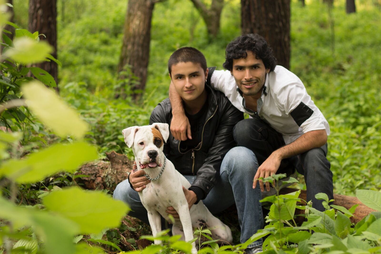 Canon EF 50mm F1.8 II sample photo. Dog, dogs, pet, pets photography