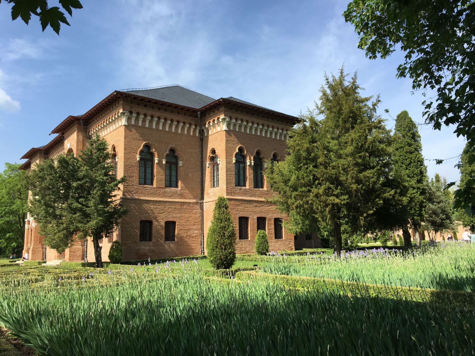 iPhone 6s back camera 4.15mm f/2.2 sample photo. Romania, mogosoaia palace, nature photography