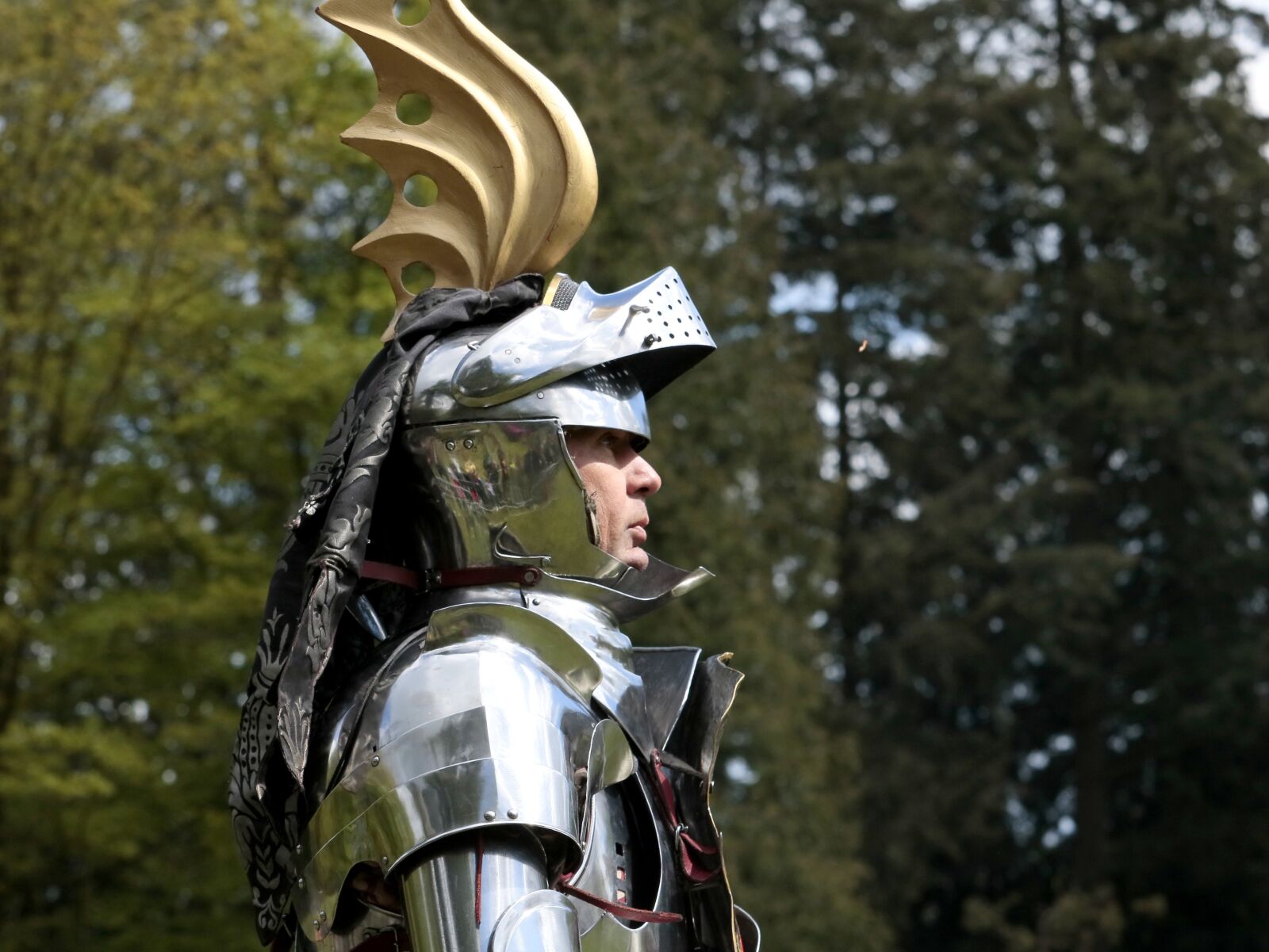 Canon EF-S 55-250mm F4-5.6 IS STM sample photo. Knight, medieval, duel photography