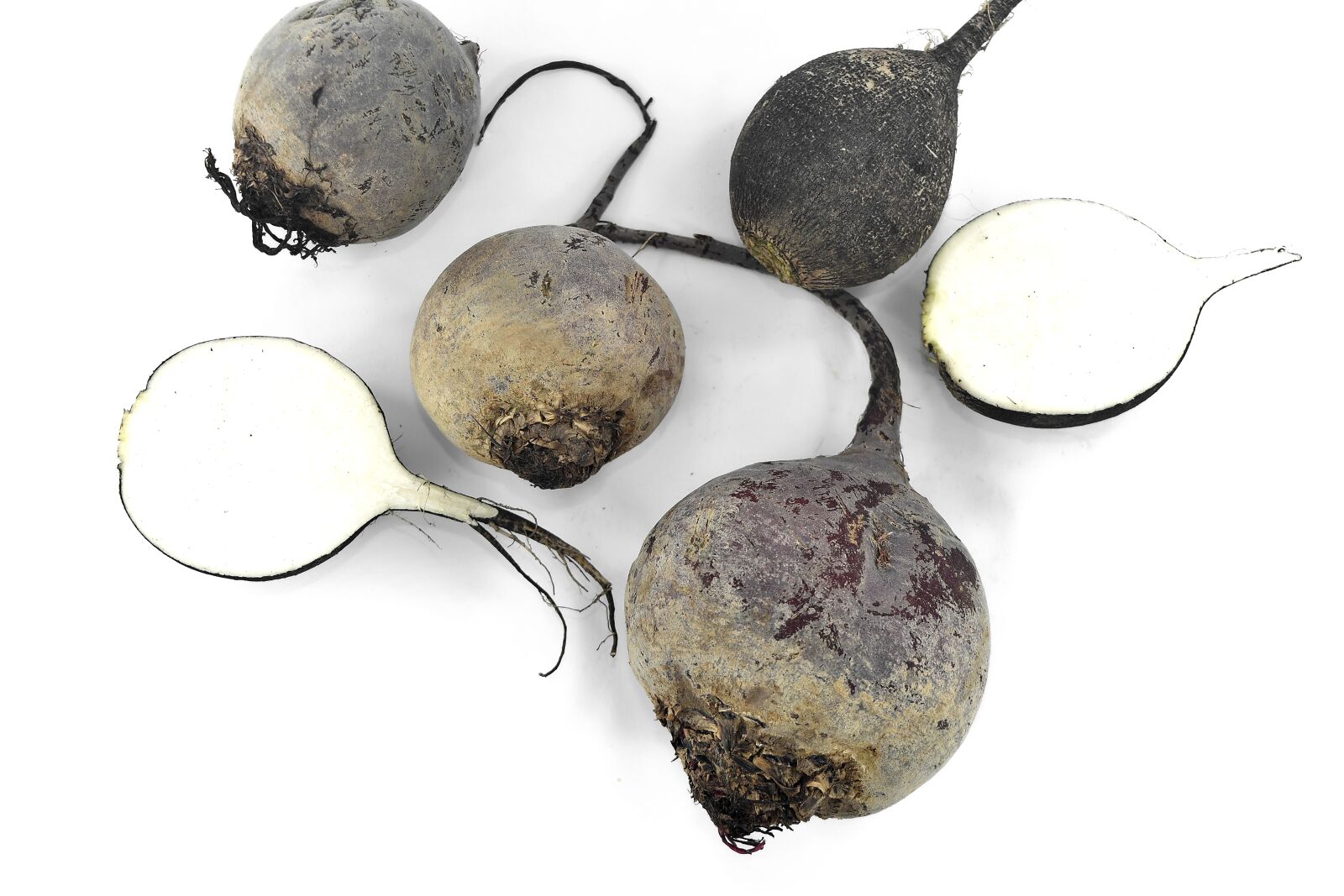 Nikon D5500 sample photo. Beetroot, black and white photography