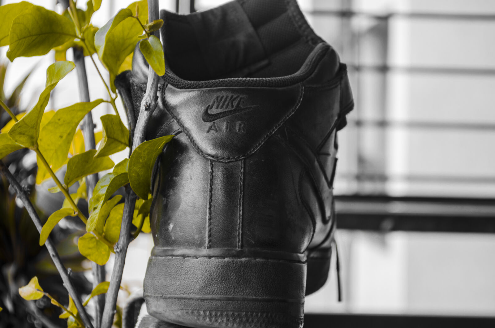 Nikon D5100 sample photo. Air, nike, shoes photography