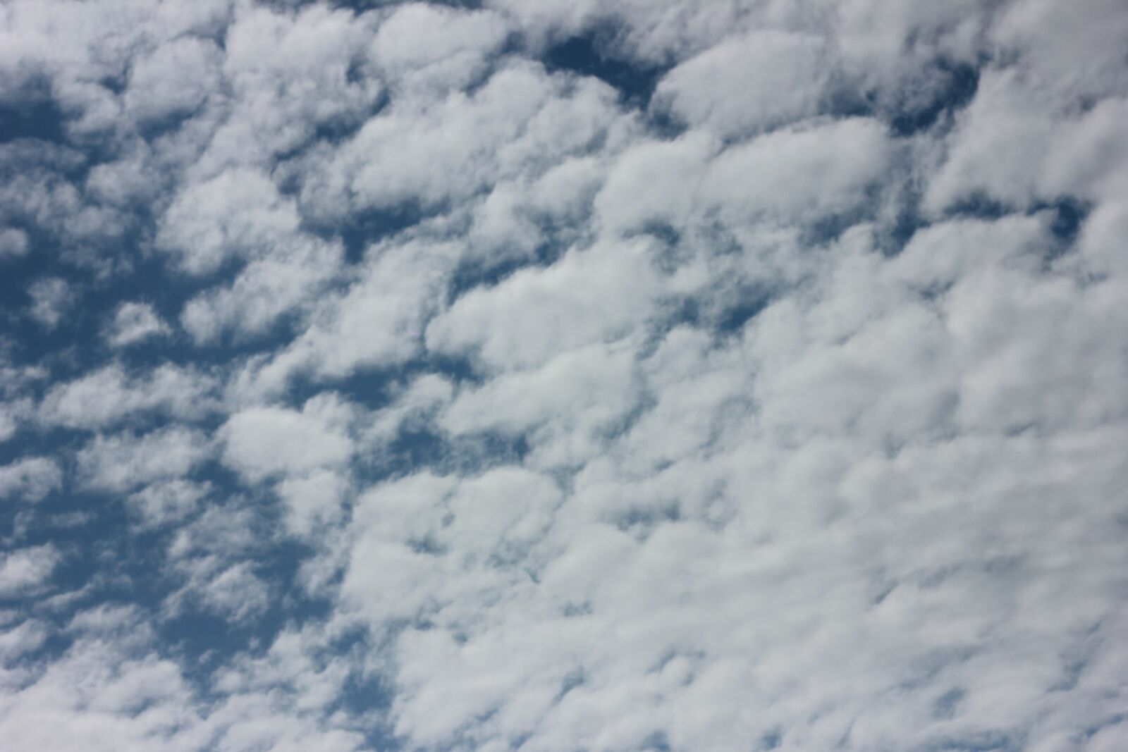 Canon EOS 550D (EOS Rebel T2i / EOS Kiss X4) sample photo. Sky, clouds, clouds sky photography